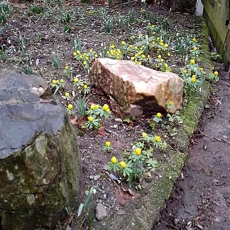 Ruhig Und Spartanisch Wohnen Im Denkmal * Niederwiesa